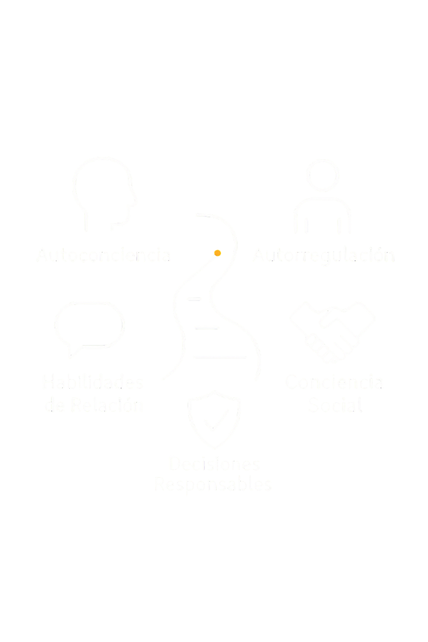 Competencias socioemocionales